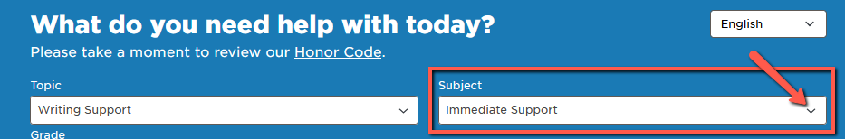 Arrow pointing to Subject dropdown menu showing the Immediate Support selection. 