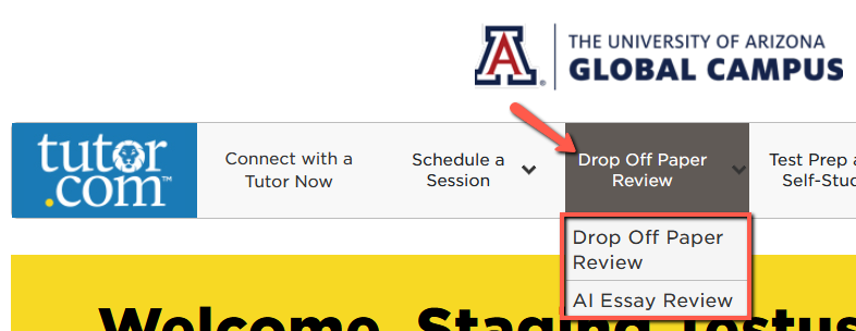 Arrow pointing to Drop Off Paper Review drop-down menu showing the Drop Off Paper Review and AI Essay Review selections