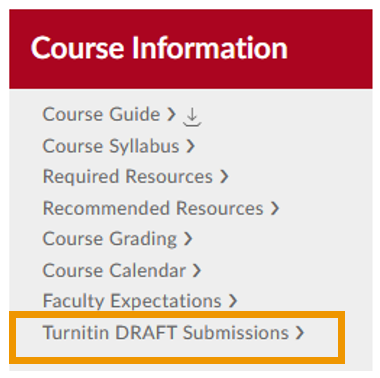 Canvas classroom Home page showing a box around Turnitin DRAFTS Submissions under the Course Information section. 